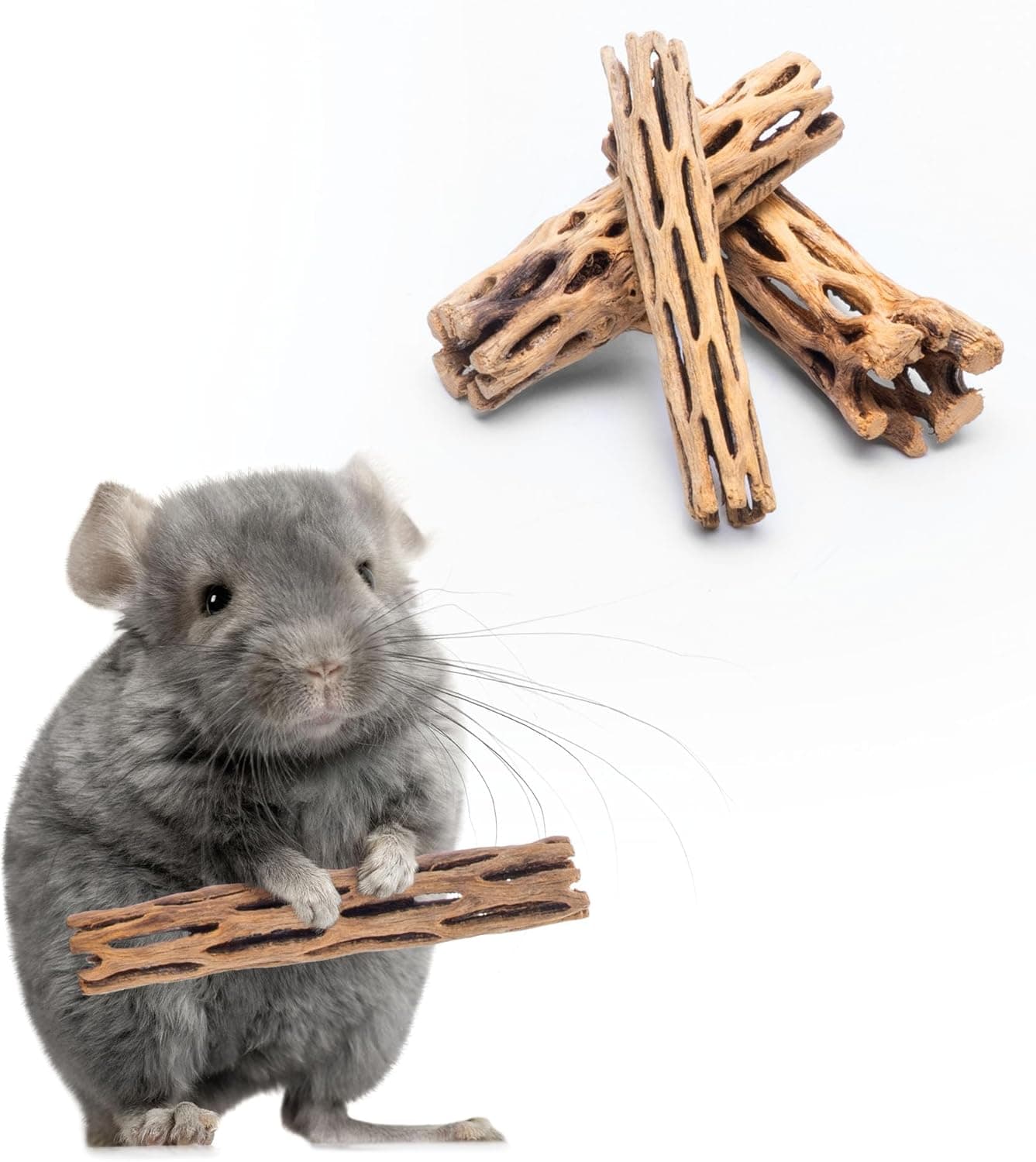 SubstrateSource Cholla Wood — 6 inch, 2 Pack