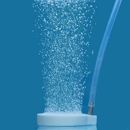 Pawfly 2-Inch Air Stone Disc Bubble Diffuser